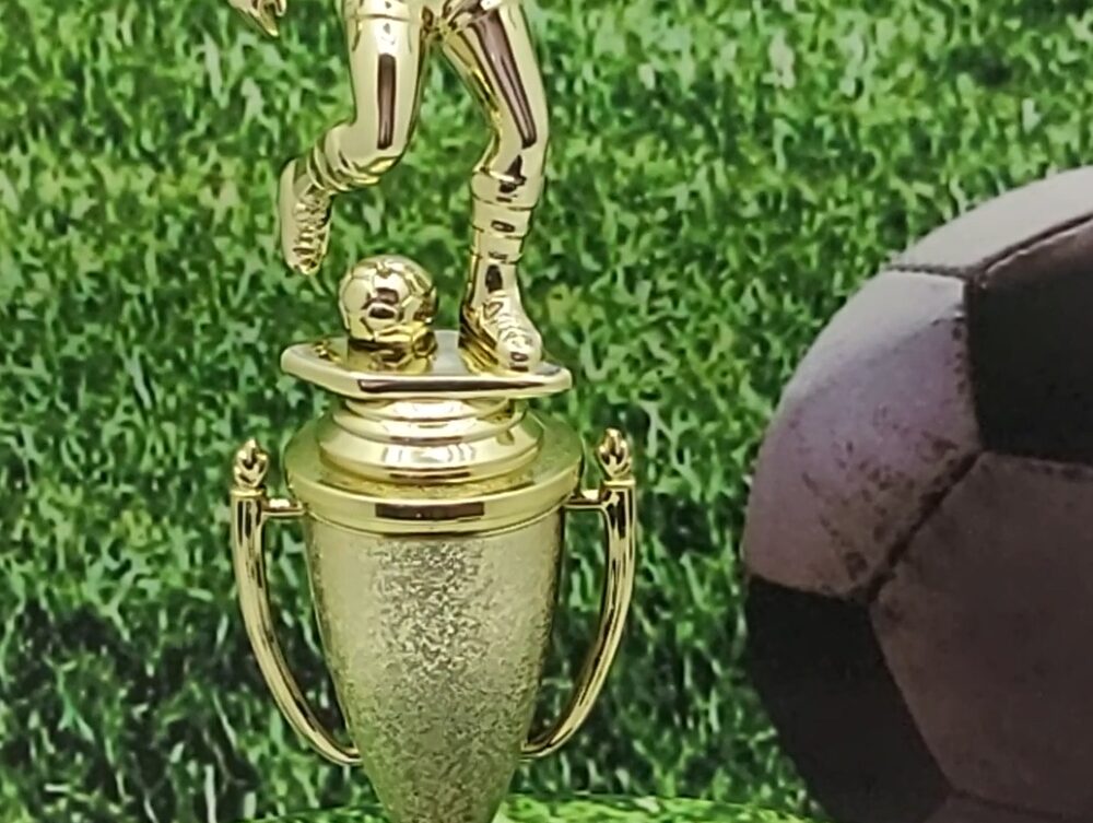 Soccer Female Trophy 265mm
