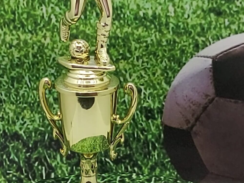 Soccer Female Trophy 290mm