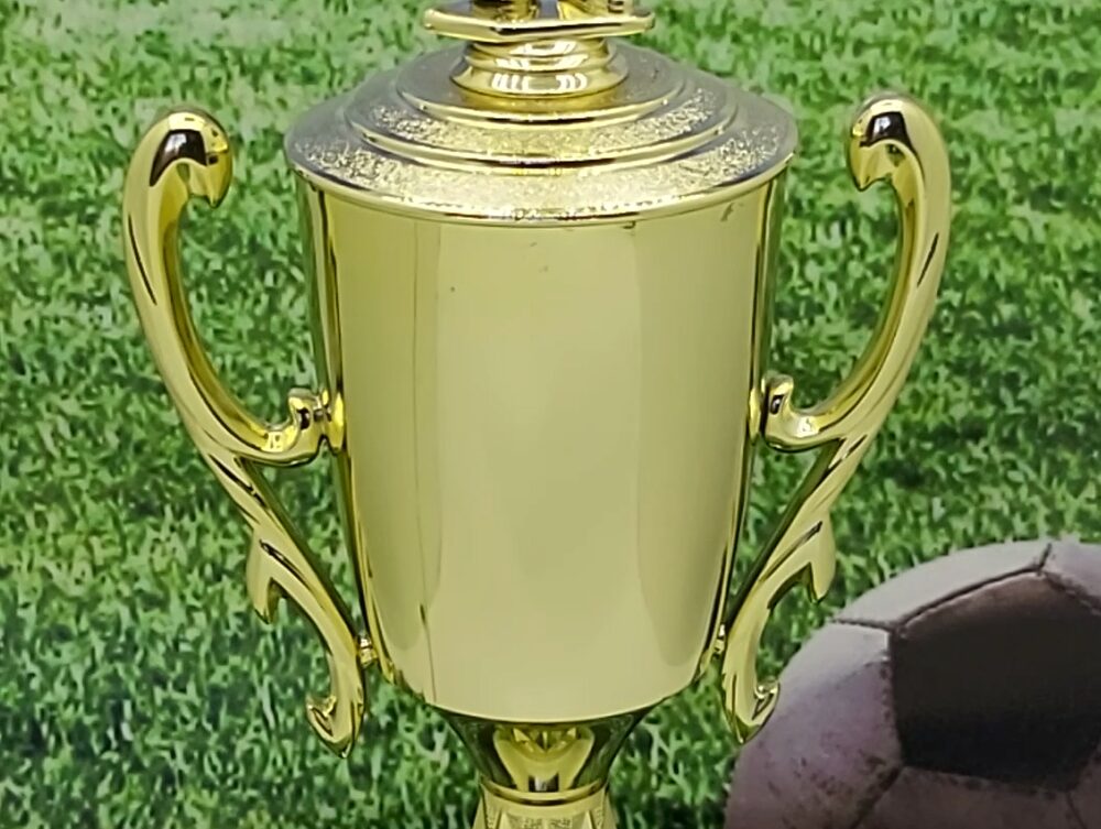 Soccer Female Trophy 405mm