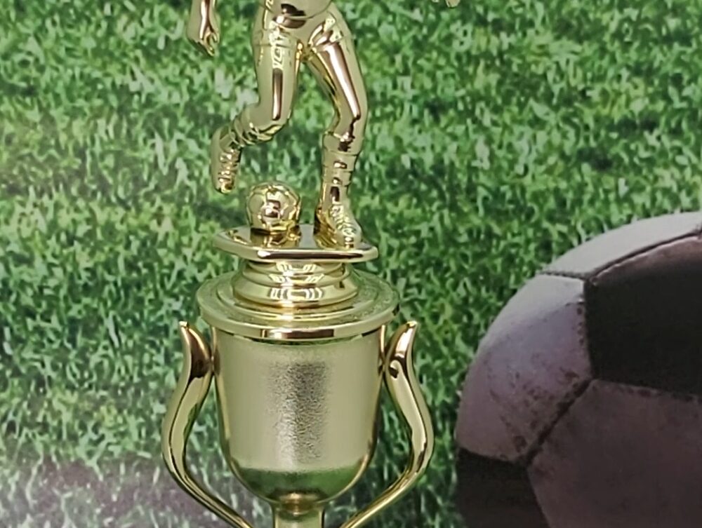 Soccer Female Trophy 290mm