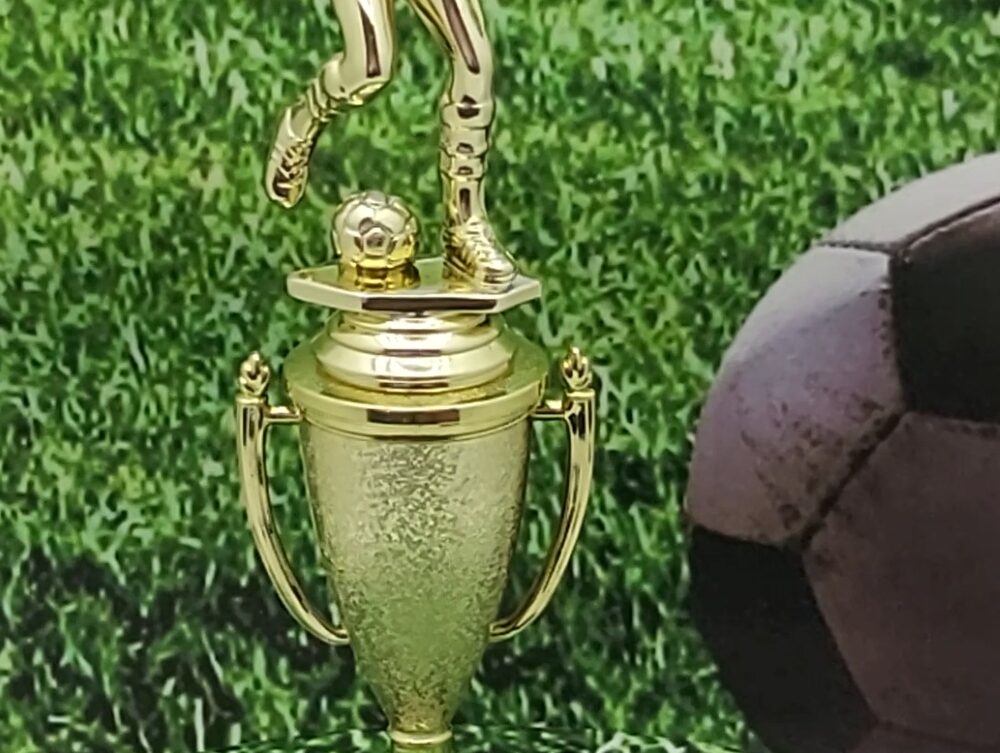 Soccer Male Trophy 265mm