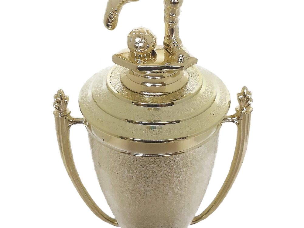 Soccer Male Trophy 365mm