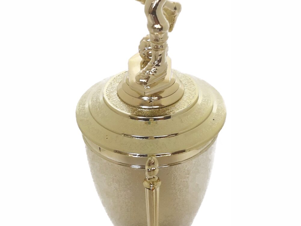 Soccer Male Trophy 365mm