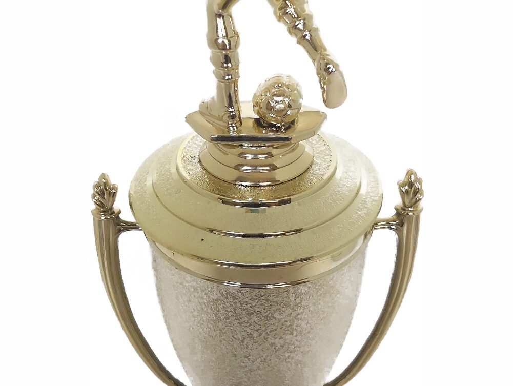 Soccer Male Trophy 365mm
