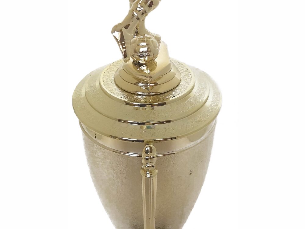 Soccer Male Trophy 365mm