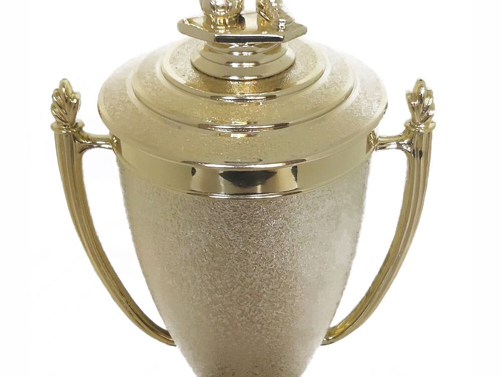 Soccer Male Trophy 405mm