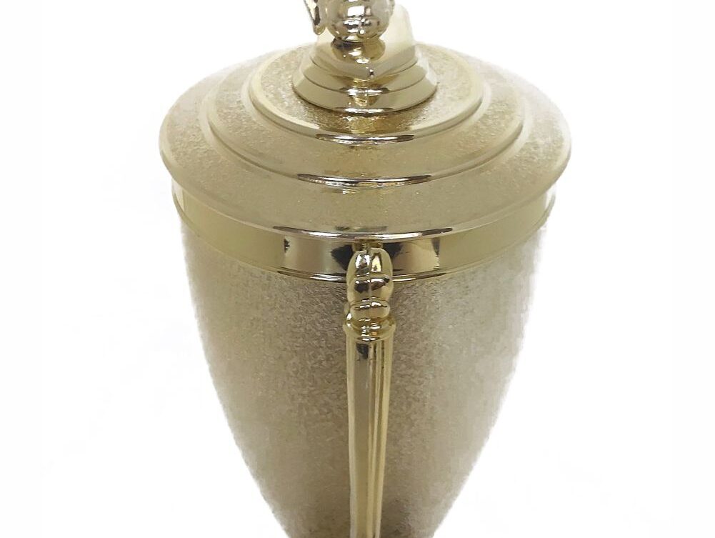 Soccer Male Trophy 405mm