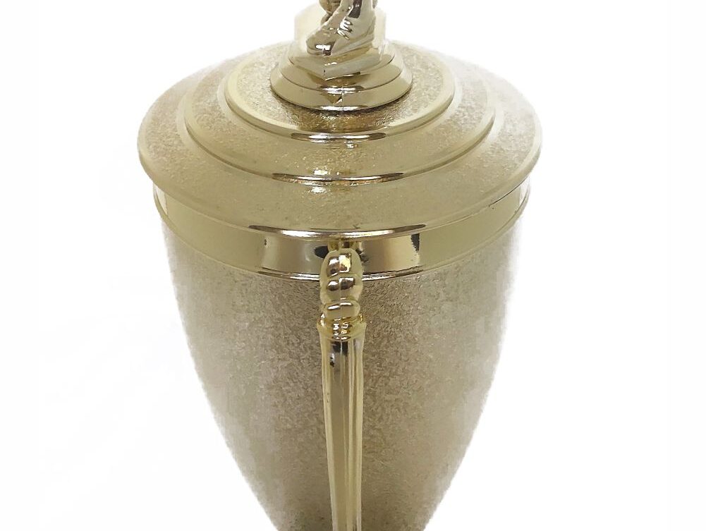 Soccer Male Trophy 405mm