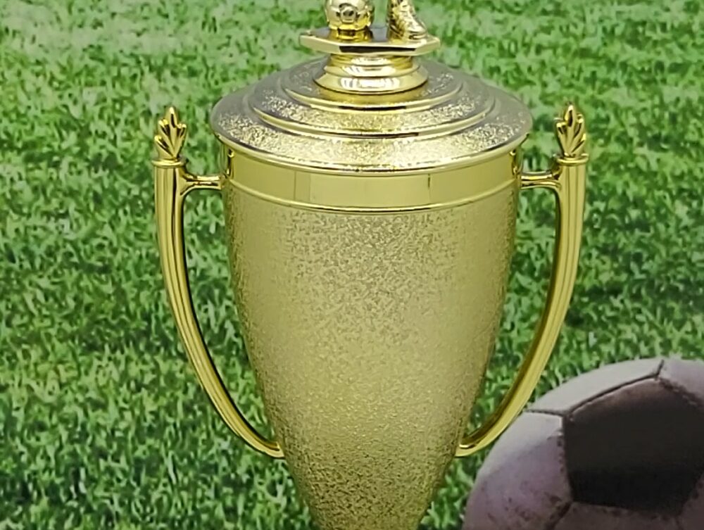 Soccer Male Trophy 405mm