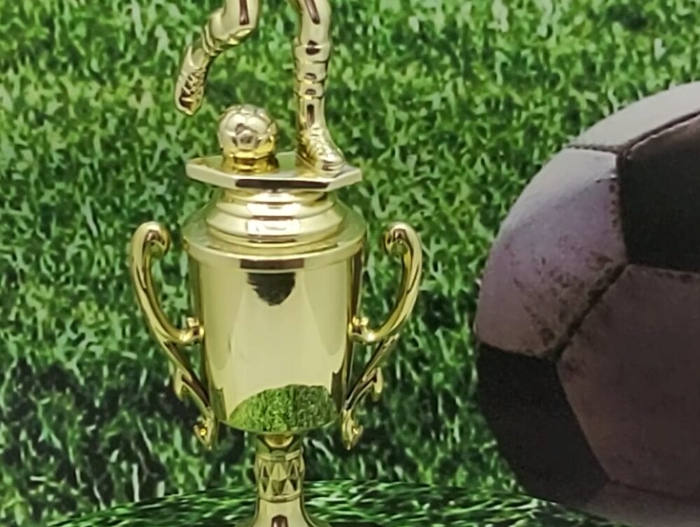 Soccer Male Trophy 290mm