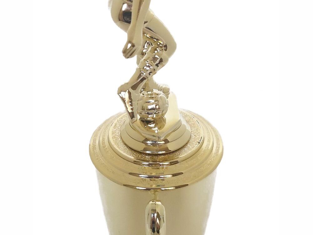 Soccer Male Trophy 325mm