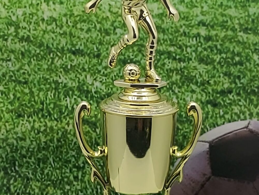 Soccer Male Trophy 325mm
