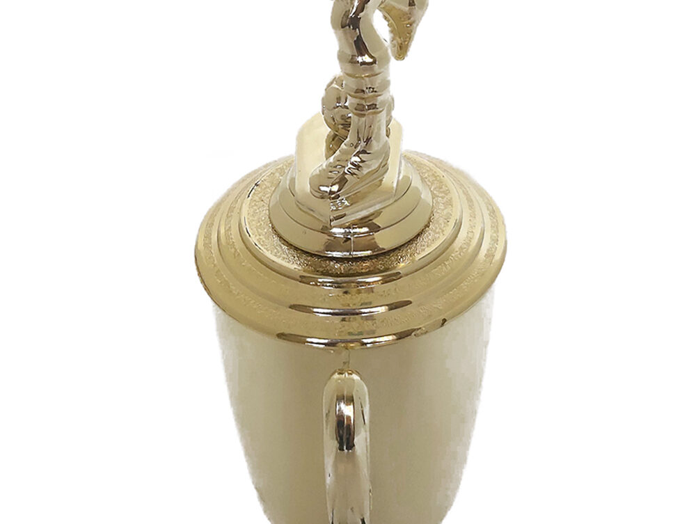 Soccer Male Trophy 365mm