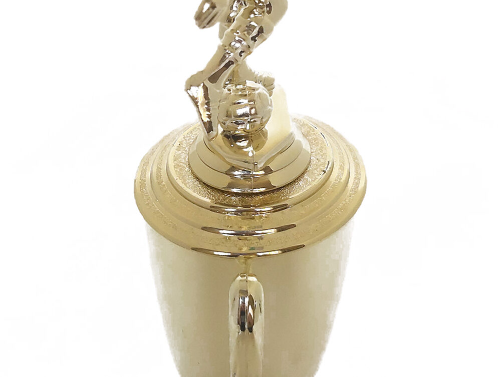 Soccer Male Trophy 365mm