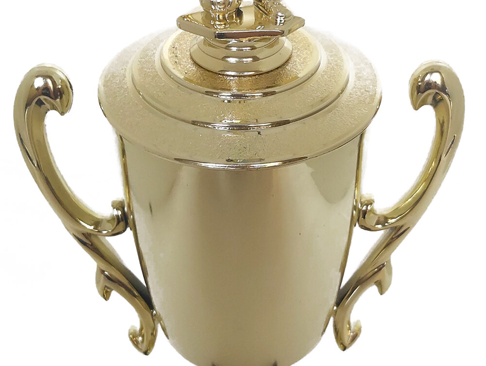 Soccer Male Trophy 405mm
