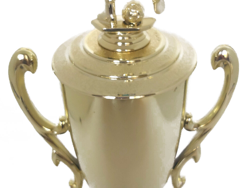 Soccer Male Trophy 405mm