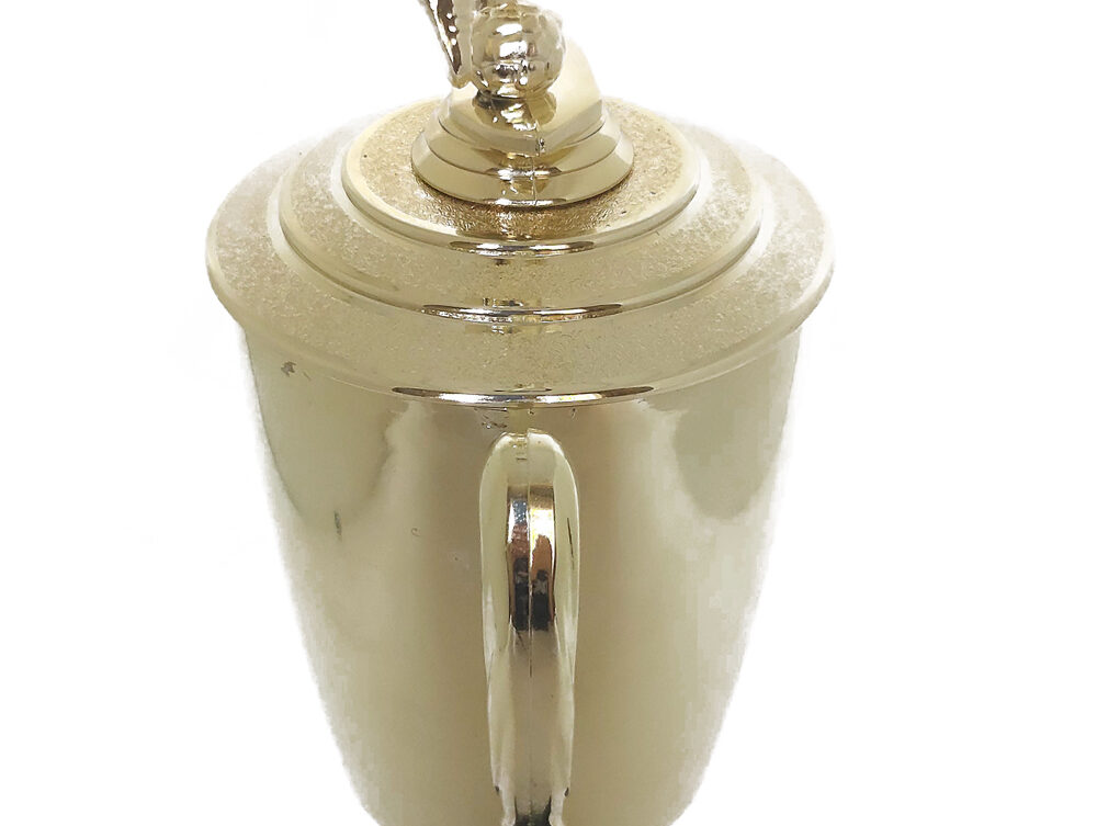 Soccer Male Trophy 405mm