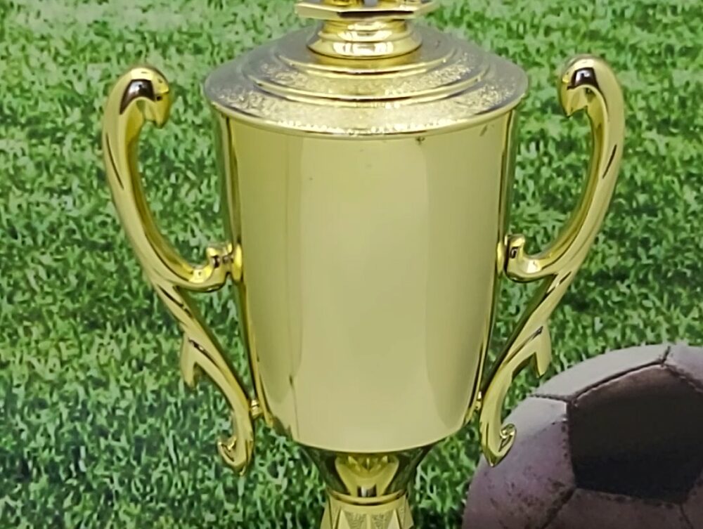 Soccer Male Trophy 365mm