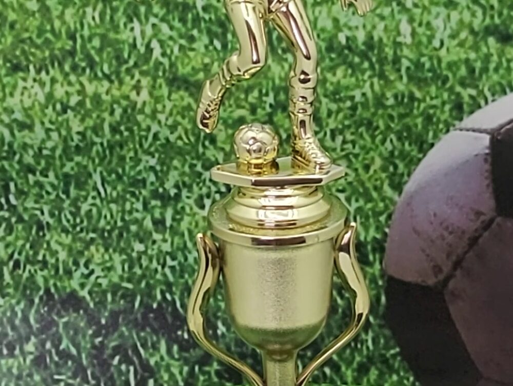 Soccer Male Trophy 265mm
