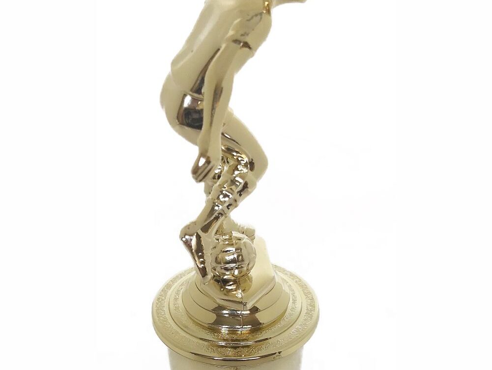Soccer Male Trophy 290mm