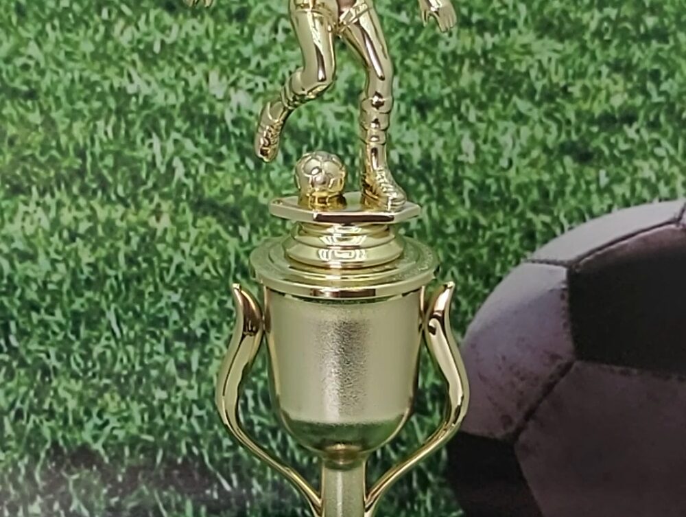 Soccer Male Trophy 290mm