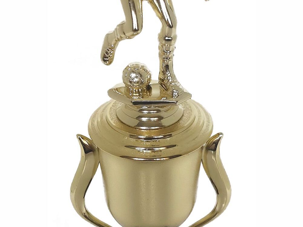 Soccer Male Trophy 325mm