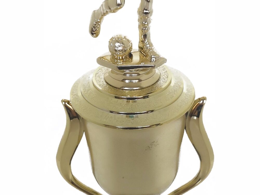 Soccer Male Trophy 365mm