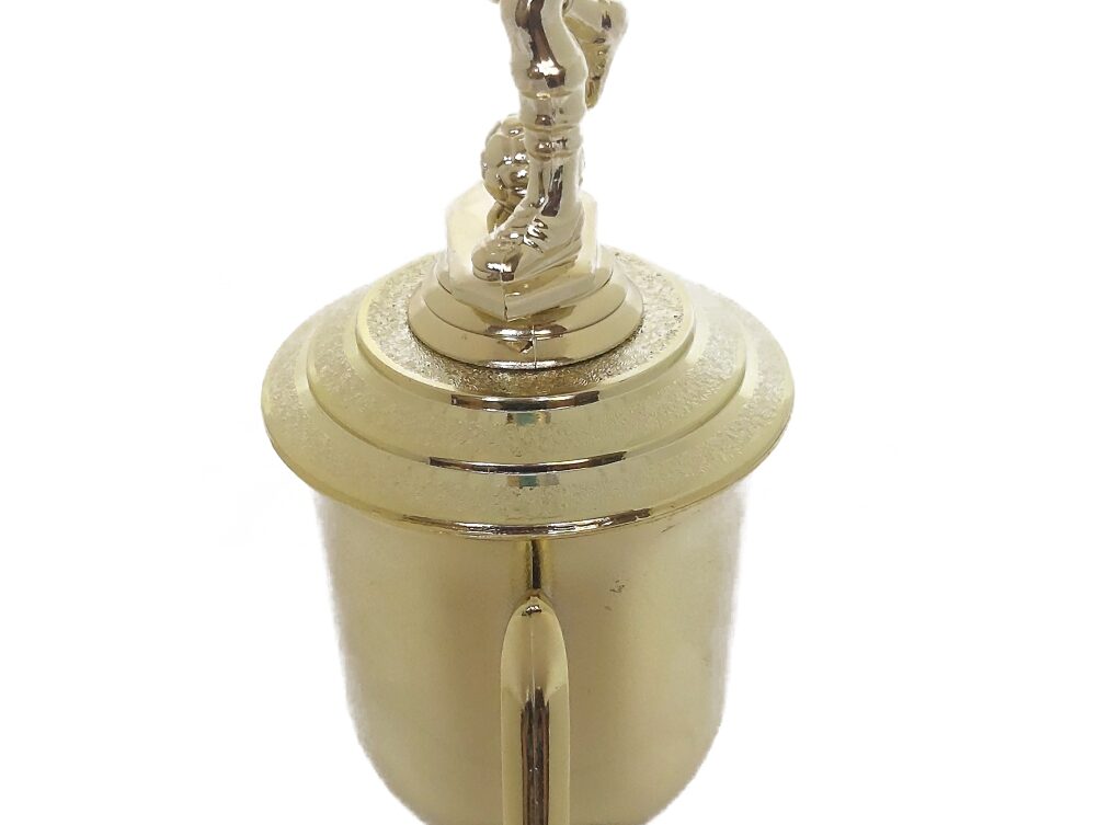 Soccer Male Trophy 365mm