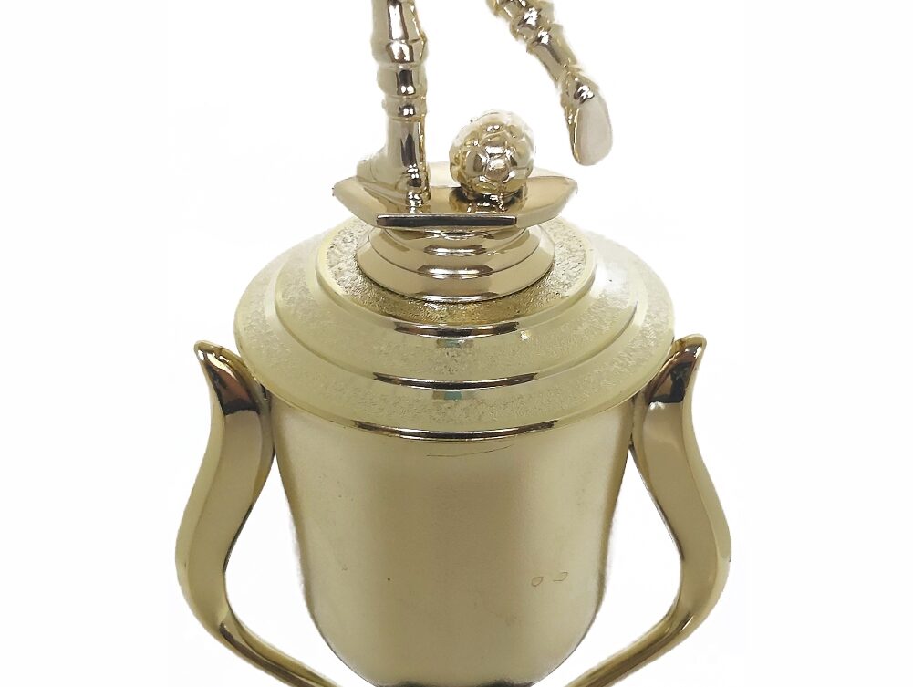 Soccer Male Trophy 365mm