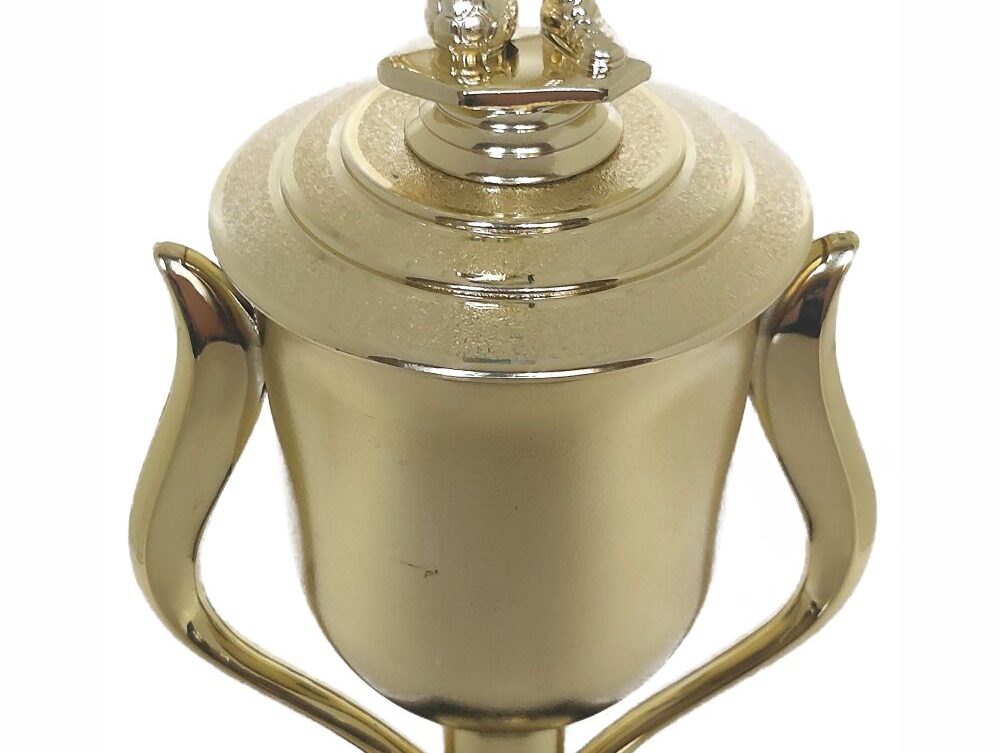 Soccer Male Trophy 405mm