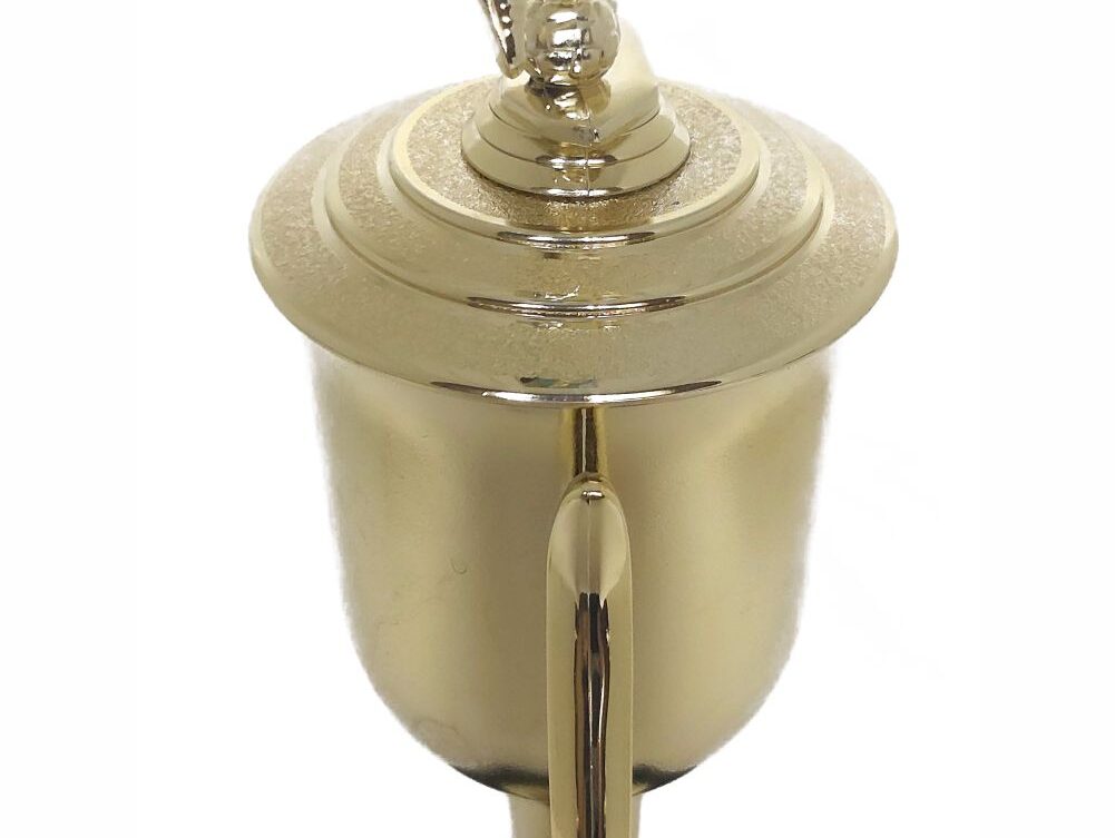 Soccer Male Trophy 405mm