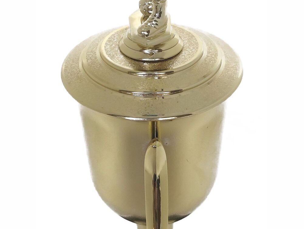 Soccer Male Trophy 405mm