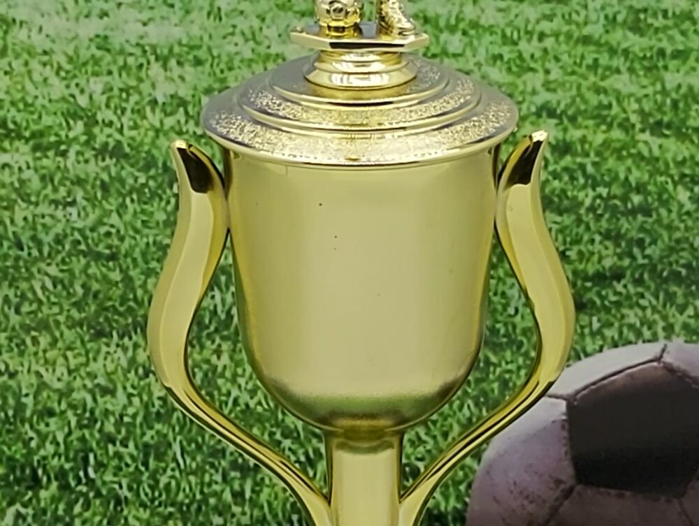 Soccer Male Trophy 405mm