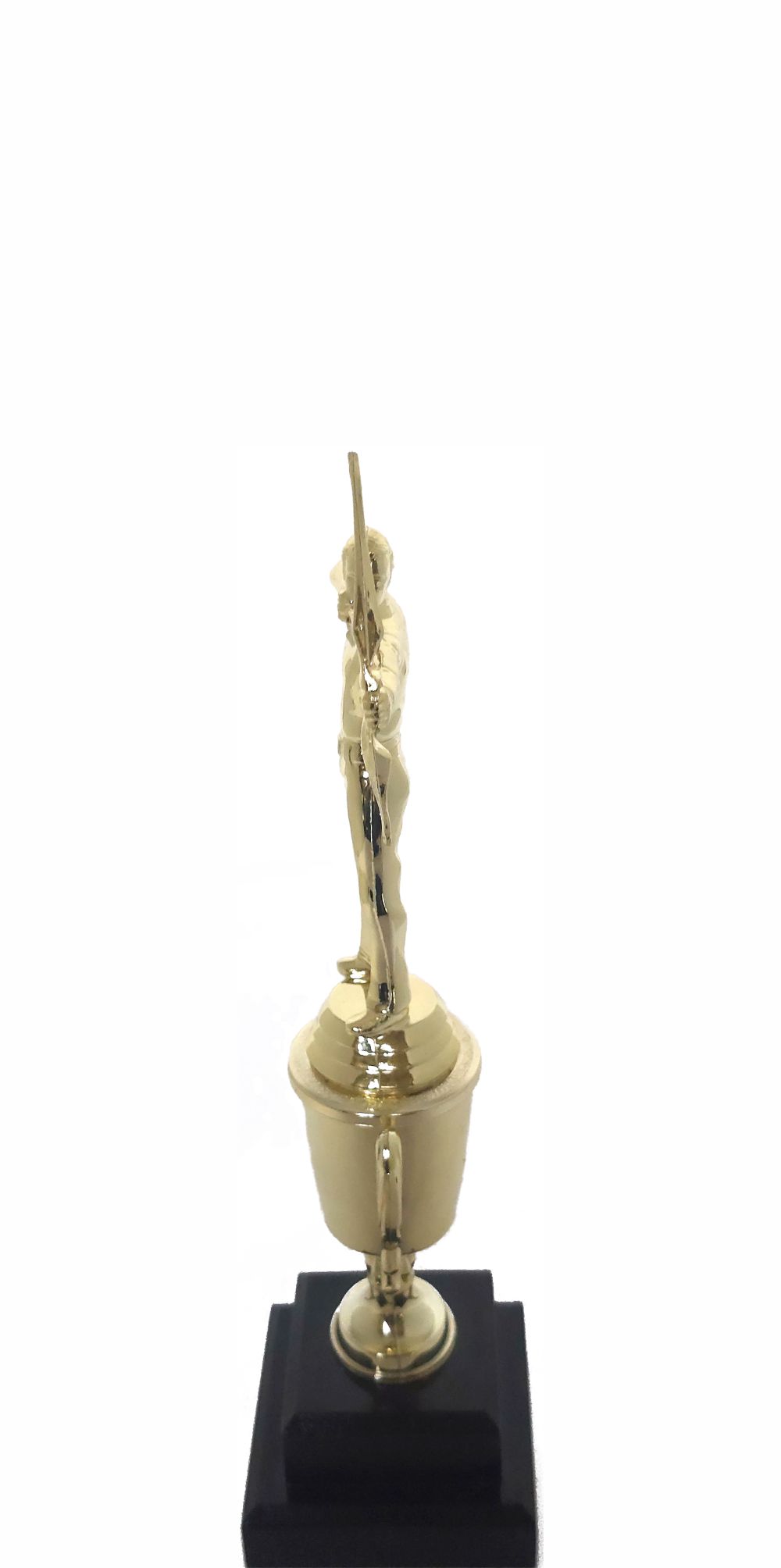 Archer Male Trophy 270mm