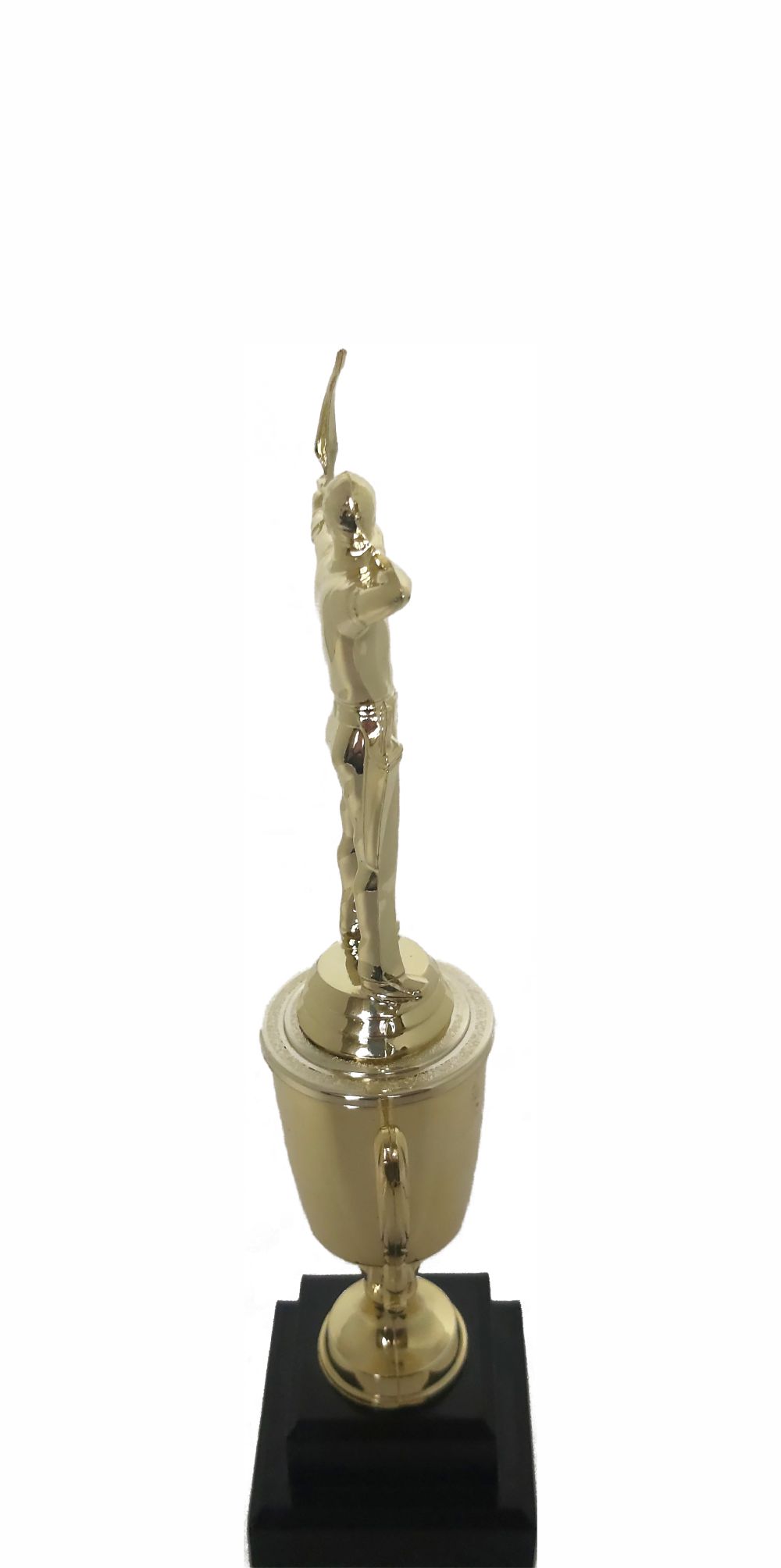 Archer Male Trophy 290mm