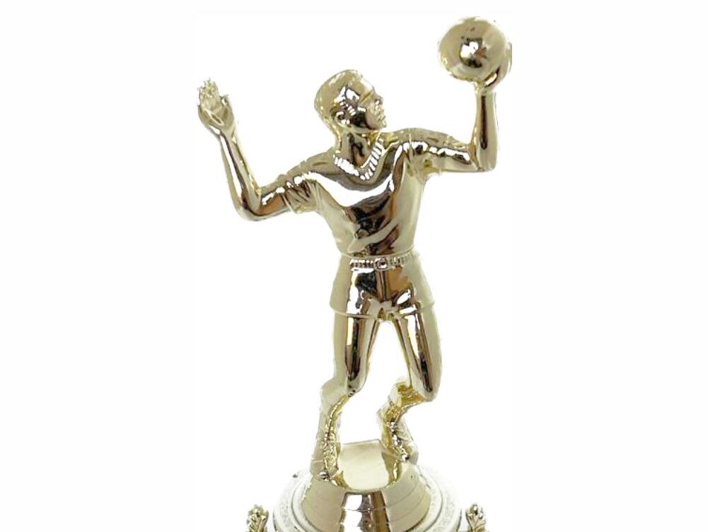 Volleyball Male Trophy 240mm