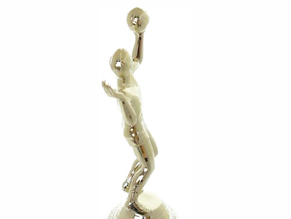 Volleyball Male Trophy 240mm