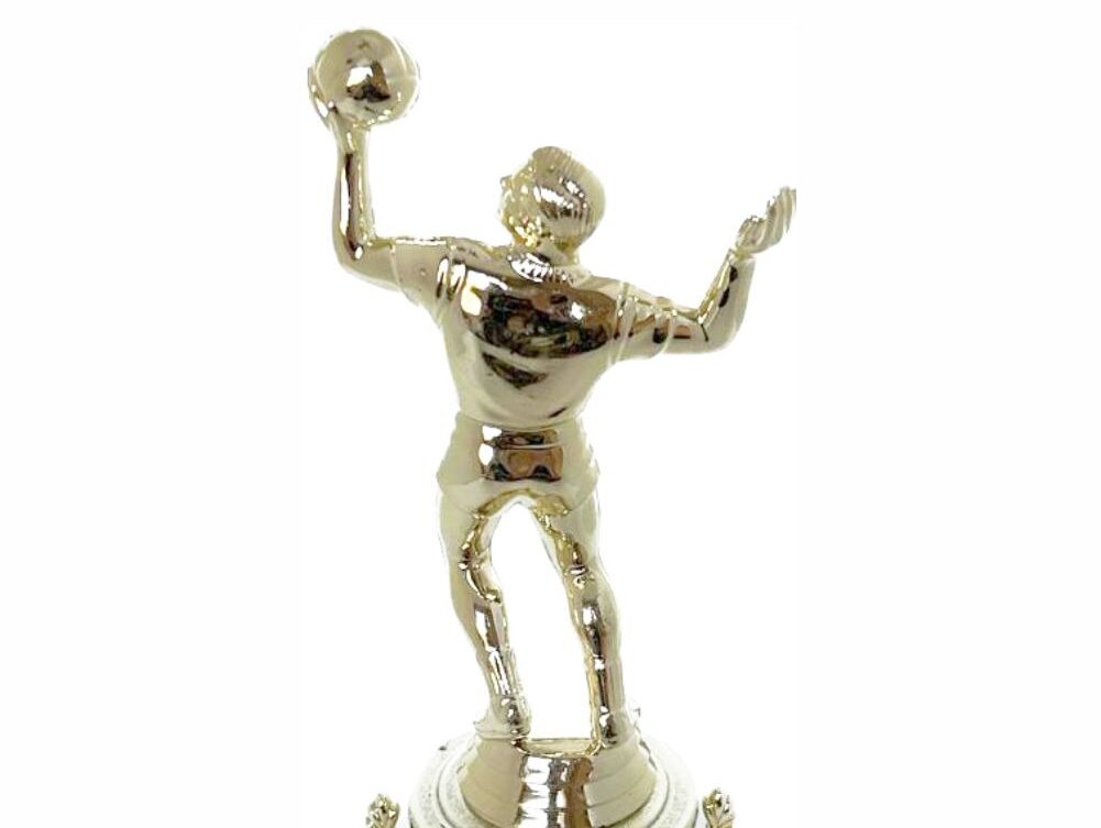 Volleyball Male Trophy 240mm