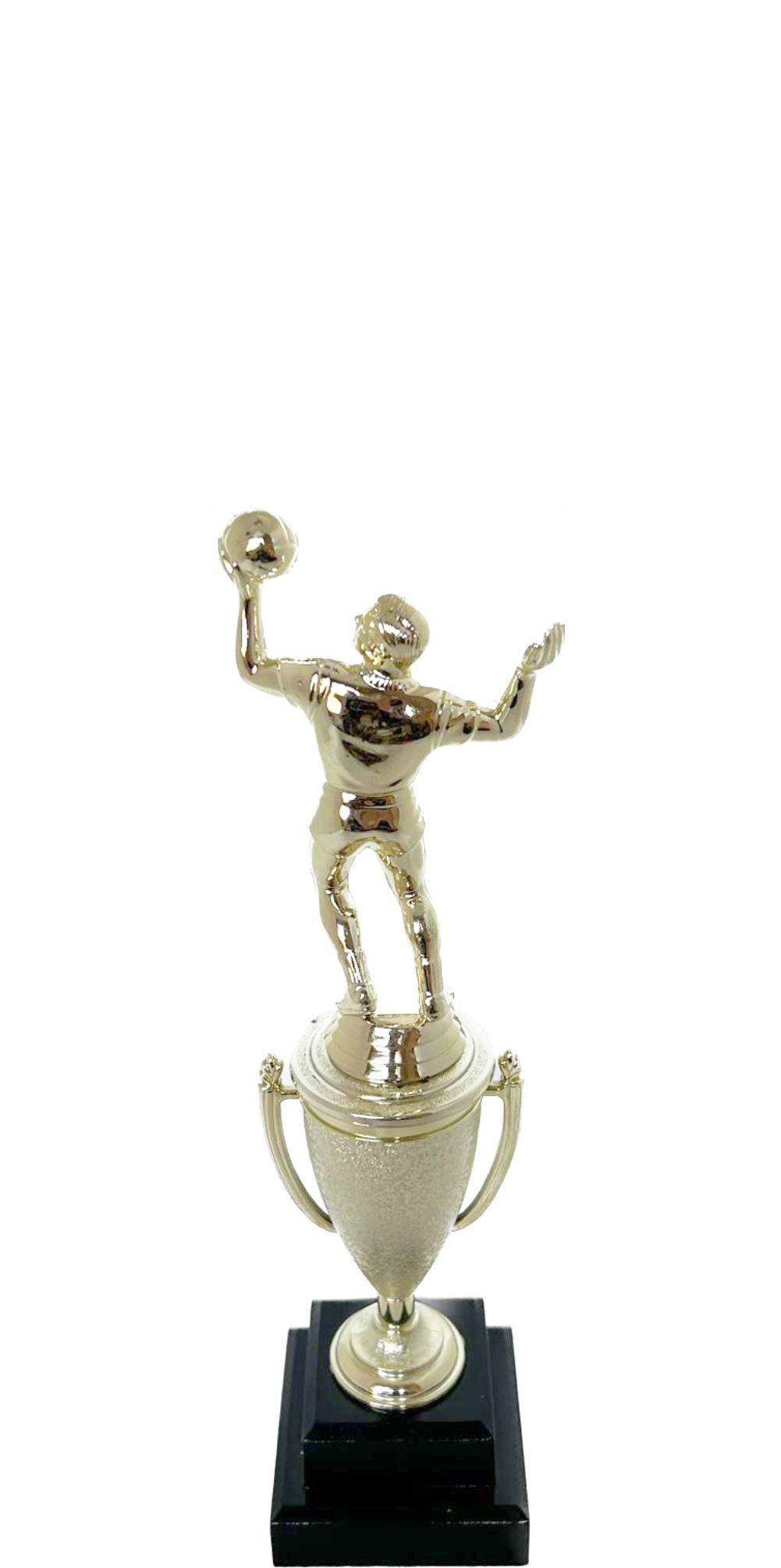 Volleyball Male Trophy 240mm