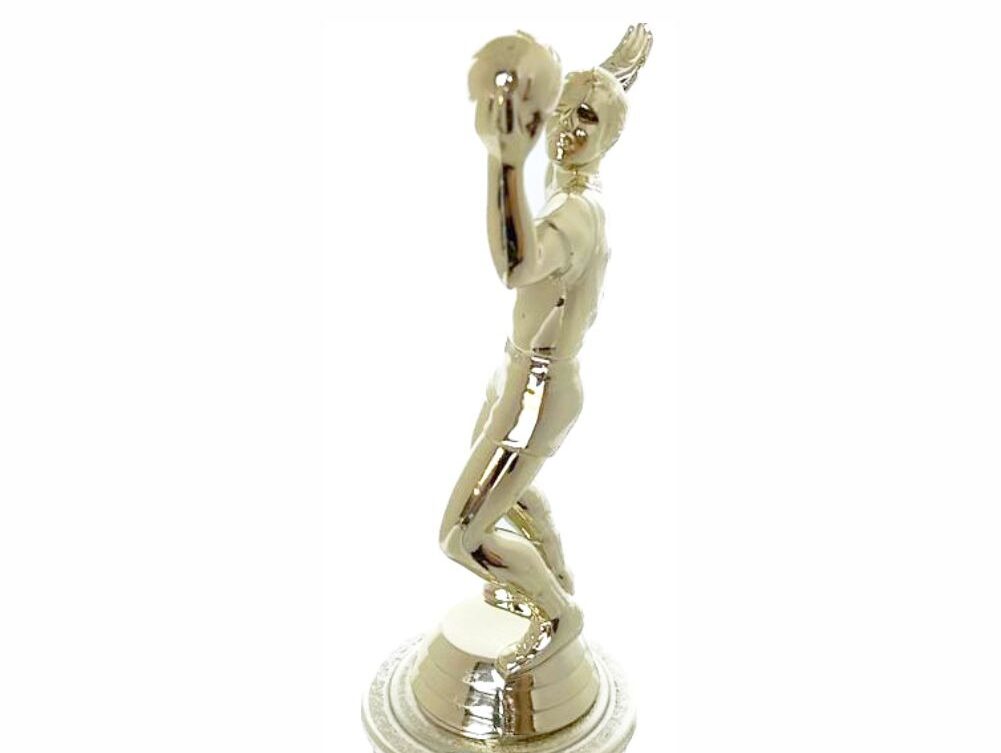 Volleyball Male Trophy 240mm