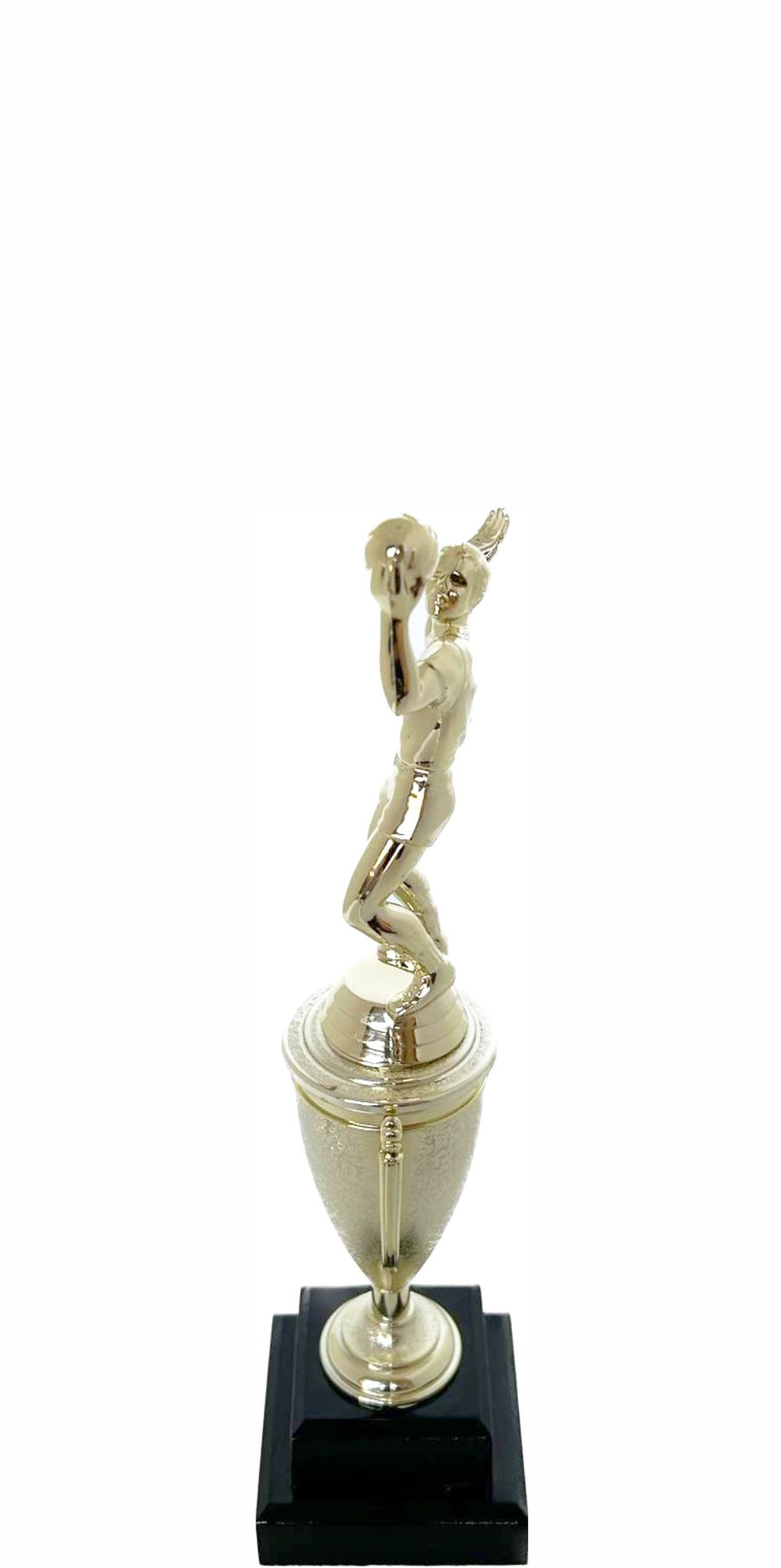 Volleyball Male Trophy 240mm