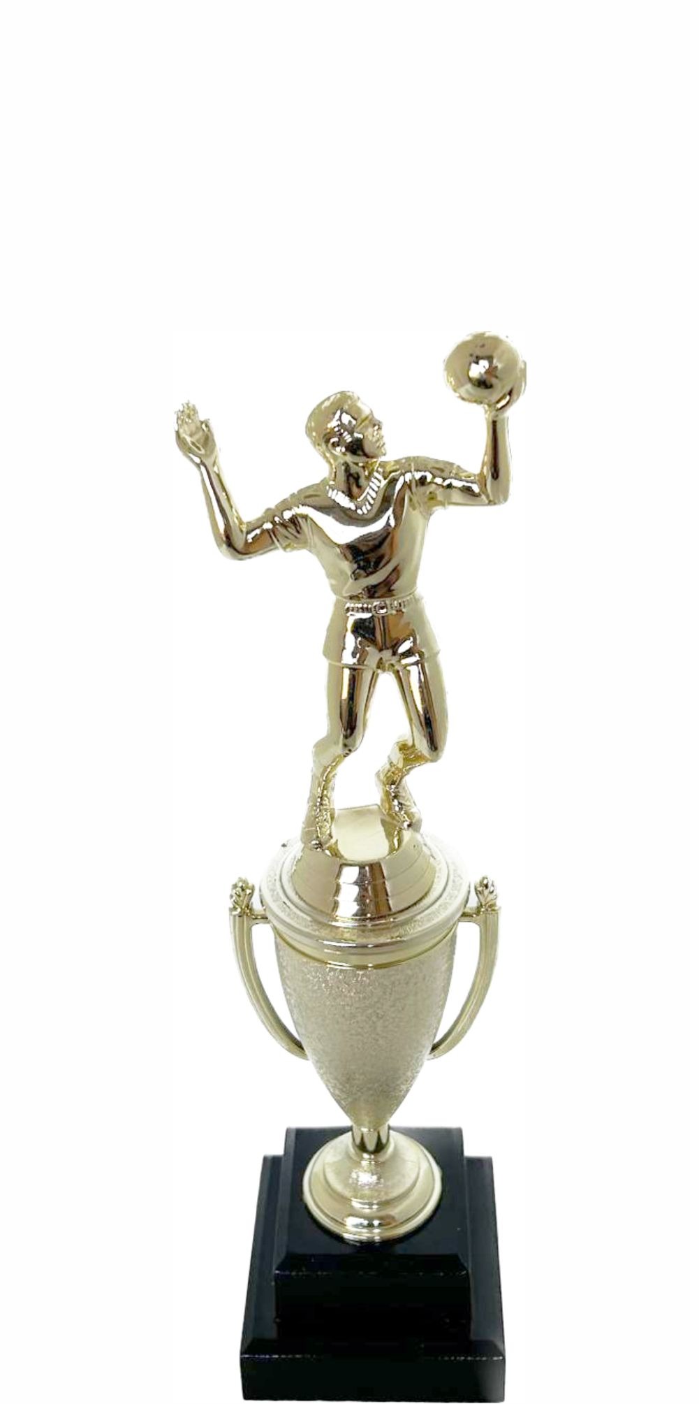 Volleyball Male Trophy265mm