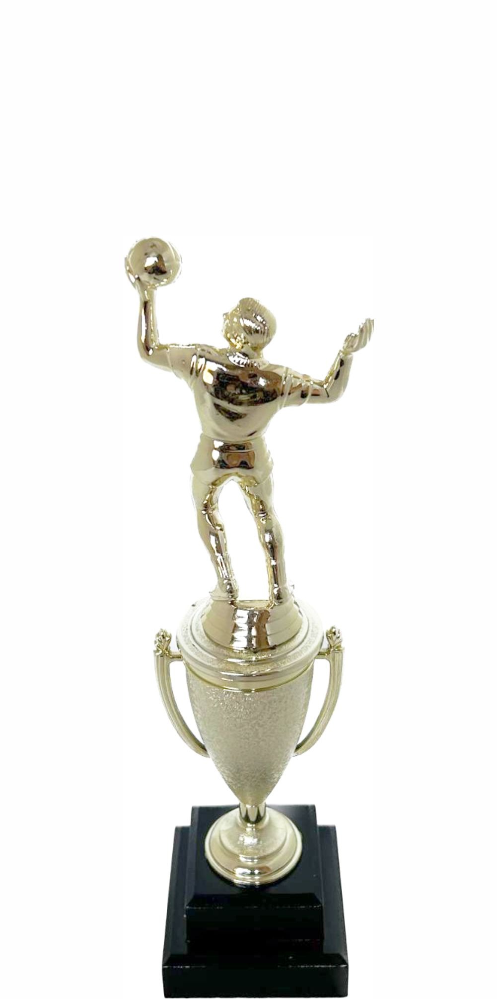 Volleyball Male Trophy265mm