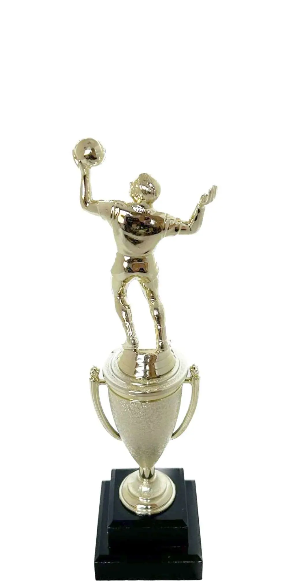 Volleyball Male Trophy265mm
