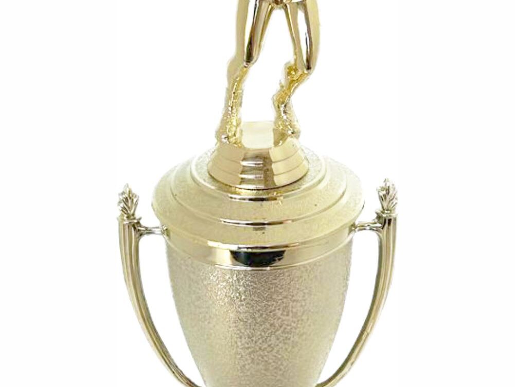 Volleyball Male Trophy 340mm