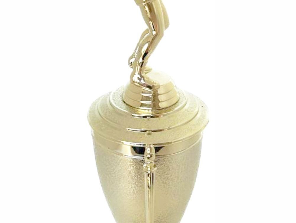 Volleyball Male Trophy 340mm