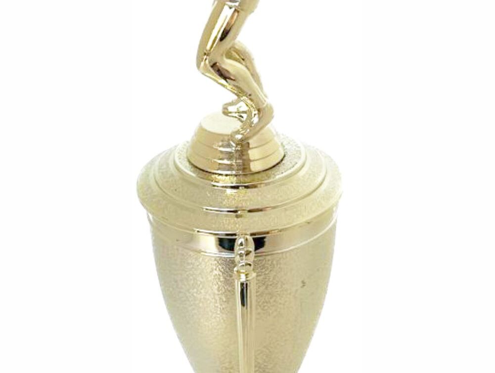 Volleyball Male Trophy 340mm