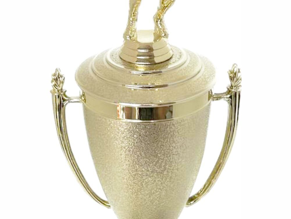 Volleyball Male Trophy 380mm