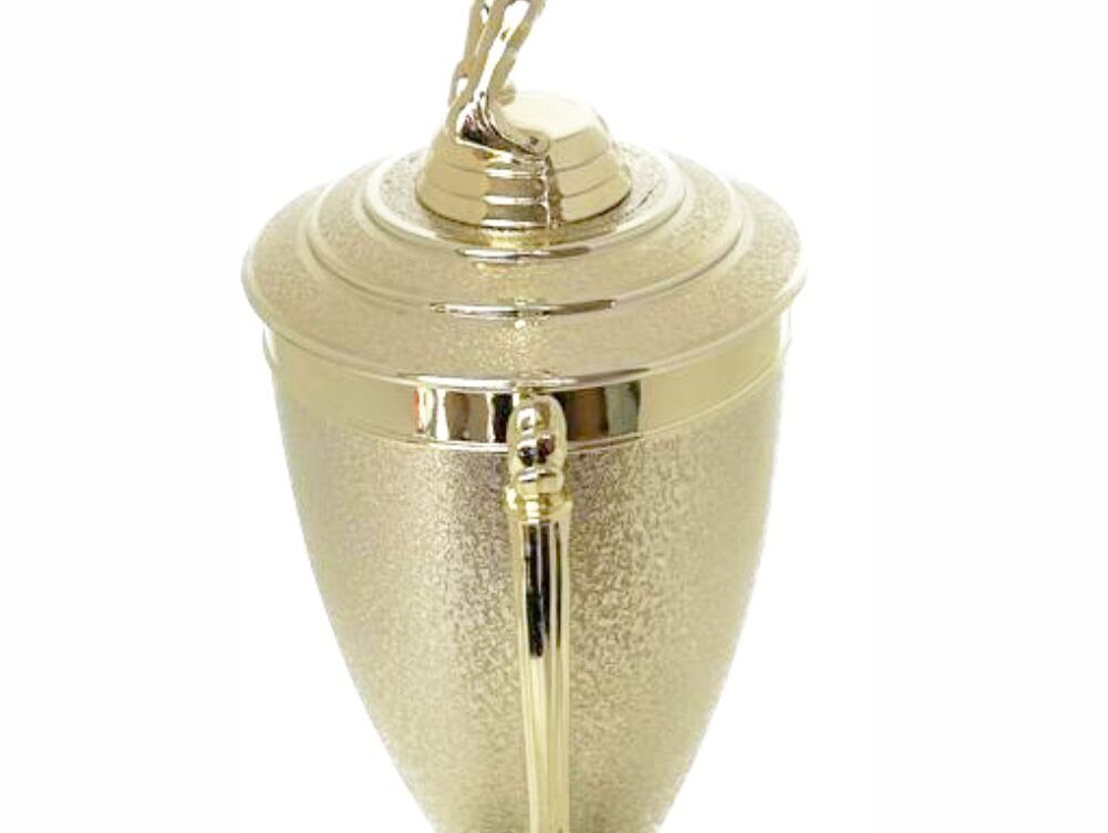 Volleyball Male Trophy 380mm