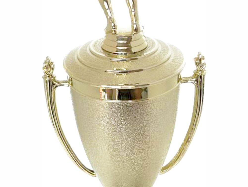 Volleyball Male Trophy 380mm
